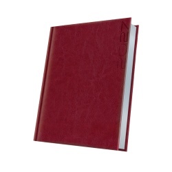 AGENDA DATATA A5 352PAG PREMIUM DELUXE NARNI COPERTA PIELE SINTETICA BORDO FOLIO ARGINTIU 2027
