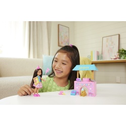 BARBIE FAMILY AND FRIENDS SET CLUBUL LUI CHELSEA ZI DE NASTERE - Img 3