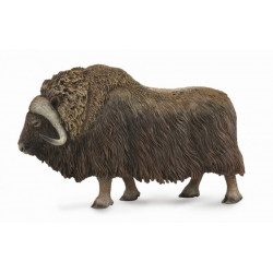 Bivol - Collecta