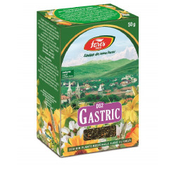 CEAI GASTRIC 50gr FARES