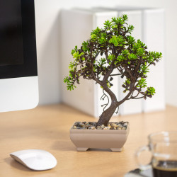 Decor plante artificiale - bonsai - 18 x 24 cm - 4 tipuri - Img 4