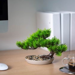 Decor plante artificiale - pin negru japonez - 25 x 18 cm - Img 2