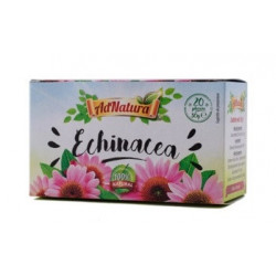 ECHINACEA 20DZ