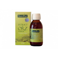 EXTRACT DE ORZ VERDE 120ML