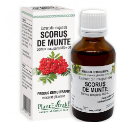 EXTRACT DIN MUGURI DE SCORUS DE MUNTE 50ML