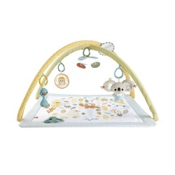 FISHER PRICE SALTELUTA DE GIMNASTICA PENTRU NOU NASCUTI - Img 5