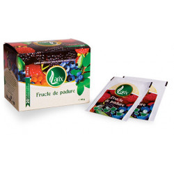 FRUCTE PADURE 20DZX2GR (SNUR)