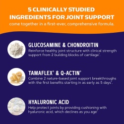 Gnc Triflex Joint Support Complete Care, Formula Completa Pentru Sanatatea Articulatiilor, 120 Tb - Img 3
