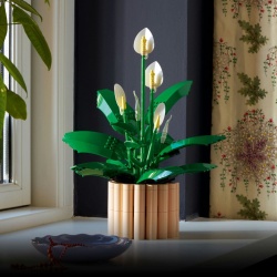 LEGO BOTANICALS CRINUL PACII 11504 - Img 5
