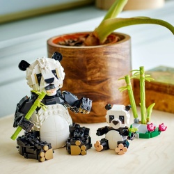 LEGO CREATOR ANIMALE SALBATICE: FAMILIA DE URSI PANDA 31165 - Img 5