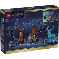 LEGO HARRY POTTER PADUREA INTERZISA EXPECTO PATRONUM 76475 - Img 9