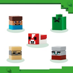 LEGO MINECRAFT MINIBIOMURI 21589 - Img 5