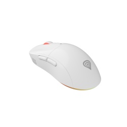 Mouse Genesis WS Zircon 3 26000 DPI alb