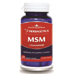 MSM +CURCUMIN95 30CPS VEGETALE