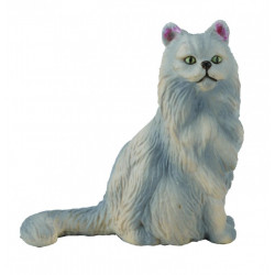 Pisica Persana-sezand S Collecta