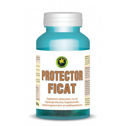 PROTECTOR FICAT 60cps HYPERICUM