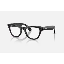RayBan Meta Skyler M SB/Amethyst Tr G2