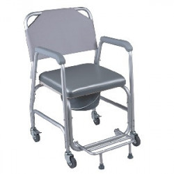SCAUN DE TOALETA FS 699 L