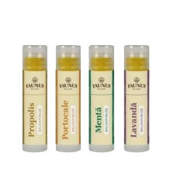 SET BALSAM BUZE 25BUC PCH