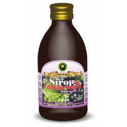 SIROP COACAZ NEGRU+INDULCITOR STEVIE 250ML