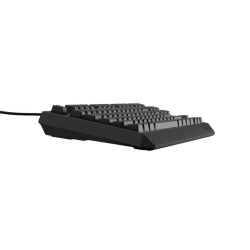 Tastatura Genesis Thor 230 TKL R negru - Img 8