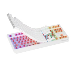 Tastatura WS Genesis Thor 230 TKL R alb - Img 10