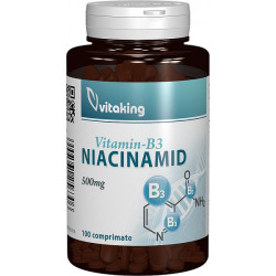 VITAMINA B3 (NIACINAMIDA) 500MG 100CPR