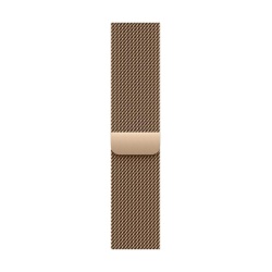 AW BAND 40MM MILANESE GOLD - Img 2