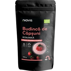 BUDINCA DE CAPSUNI FARA GLUTEN BIO 100GR