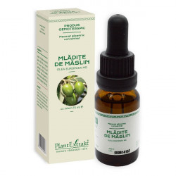 CONCENTRAT MLADITE MASLIN 15ML