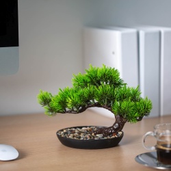 Decor plante artificiale - pin negru japonez - 25 x 18 cm - Img 3