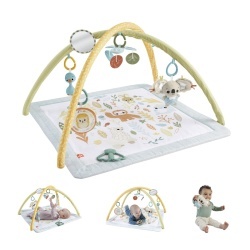 FISHER PRICE SALTELUTA DE GIMNASTICA PENTRU NOU NASCUTI - Img 12