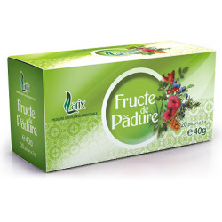 FRUCTE PADURE 20DZX2GR