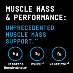 Gnc Beyond Raw Dynamic Gainer High-tech Mass Gainer, Gainer Proteic Cu Aroma De Cheesecake De Vanilie, 3195 G - Img 3