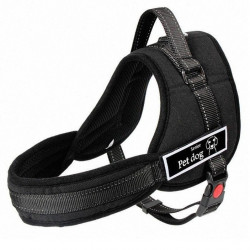 Ham pentru caini SENIOR DOG S (60 - 75cm) - Img 1
