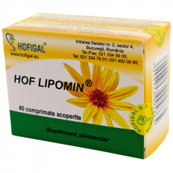 HOF LIPOMIN 40tb HOFIGAL