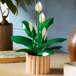 LEGO BOTANICALS CRINUL PACII 11504 - Img 2
