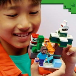 LEGO MINECRAFT AVENTURA DIN TAIGA A LUI STEVE 21583 - Img 4