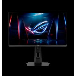 MONITOR 24" ASUS XG248QSG