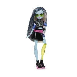 MONSTER HIGH PAPUSA FRANKIE STEIN CU ACCESORII - Img 2