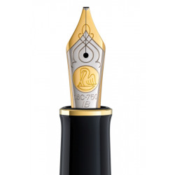 Penita ib din aur de 18k/750 ornament din rodiu pentru stilou m800/805 bicolora