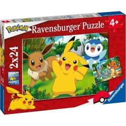 PUZZLE POKEMON 2X24