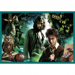 Puzzle trefl 10in1 harry potter in lumea lui harry potter - Img 7