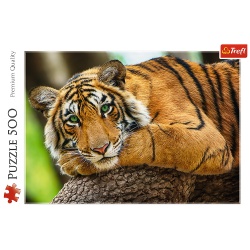 PUZZLE TREFL 500 PORTRETUL TIGRULUI - Img 3