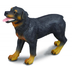 Rottweiler - Collecta
