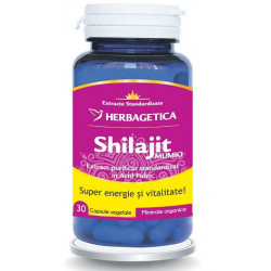 SHILAJIT MUMIO 30CPS
