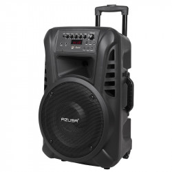 SISTEM PORTABIL SD BLUETOOTH USB 12 INCH 20W - Img 1