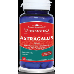 ASTRAGALUS 500MG 60CPS