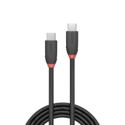 Cablu Lindy 1m USB 3.2 Type C to C 200gp - Img 2