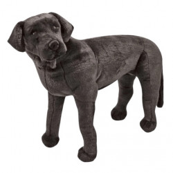 Catel Labrador Negru gigant din plus - Img 1